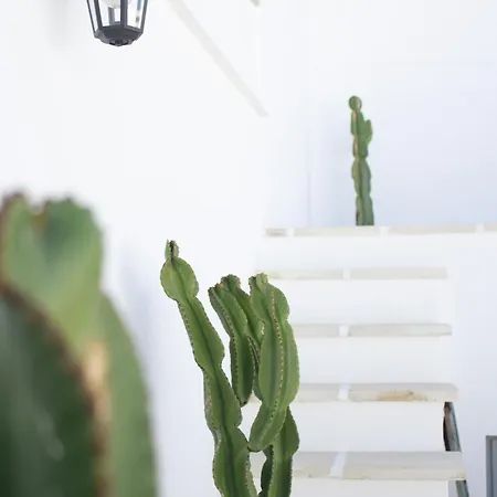 Apartment Dimora Laure